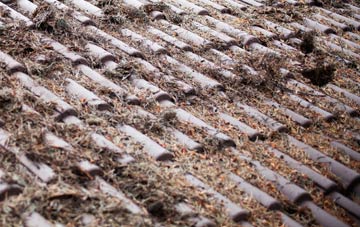 Magheralane roof cleaning companies