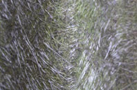 Magheralane fibreglass roof work